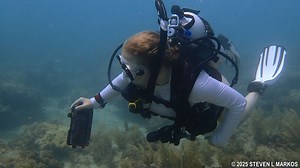 Biscayne National Park | DIVING AND SNORKELING
