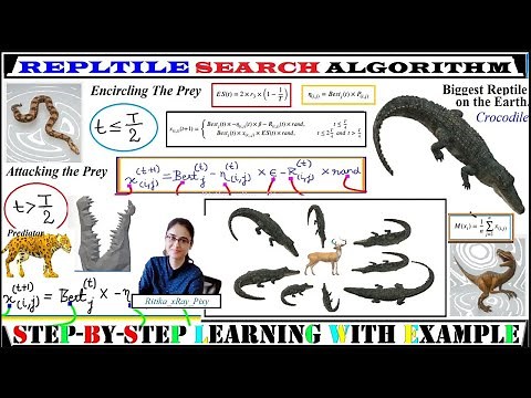 Reptile Search Algorithm (RSA) | STEP-BY-STEP | Learning ~xRay Pixy