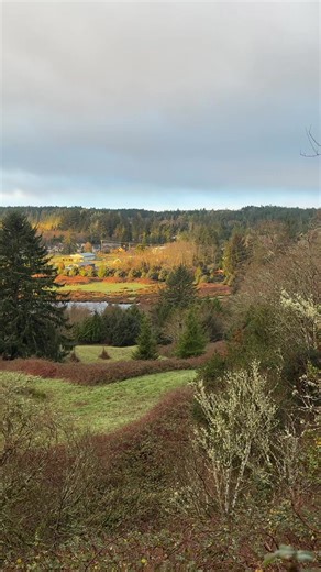 Ty (@tylersloanphotography)’s videos with Mountain Life - Art Music