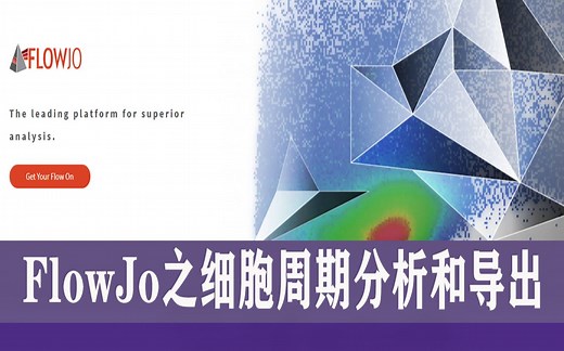 flowJo之细胞周期分析和导出