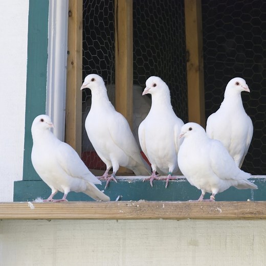 The Tannenbaum-Schmidt Leadership Continuum - Mindtools