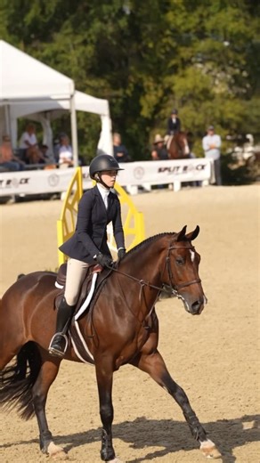 4.3K views · 115 reactions | Phase 1 & 2 of the USHJA 3’3 Adult Jumping Seat Medal are complete! ✅ ⭐️ Brenda Tananbaum and Novello secure the blue ribbon in phase 1 with a score of an 87 ⭐️ Kiera Corbin Philpot and Red Roc jump around in phase 2 to a score of an 86 to take the win Ready for phase 3 tomorrow  | Split Rock Jumping Tour | Facebook