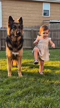 Cute Baby and Dog Moments That Make Home Feel Happier😍❤️