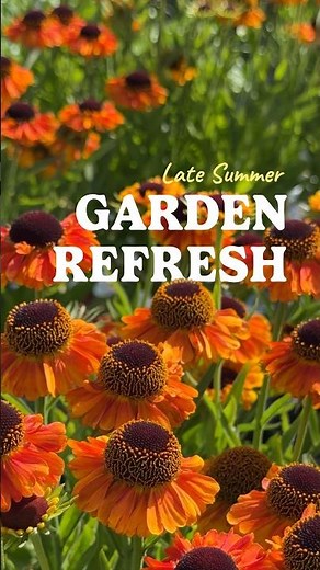 3 Drought-tolerant plants to give your garden a refresh!