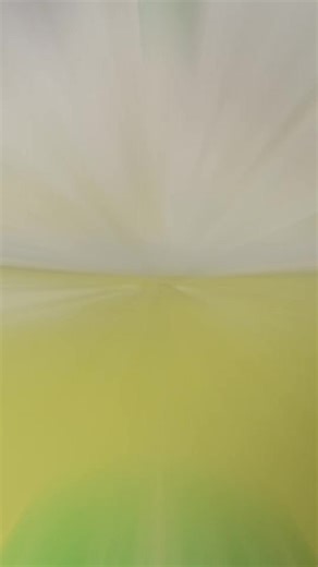 おすすめのアカウント