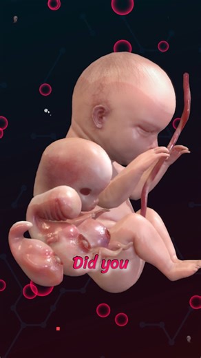 Smart Doctor on Instagram‎: "✨ In which week can the fetus move its limbs? | Fetal Development 💞 . . Fetal development is a fascinating process that occurs in three main stages: germinal, embryonic, and fetal. Here’s a brief overview of each stage: 1. Germinal Stage (Weeks 1-2) Fertilization: The sperm and egg unite to form a zygote. Cell Division: The zygote undergoes rapid cell division as it travels down the fallopian tube. Implantation: The blastocyst implants itself into the uterine wall.