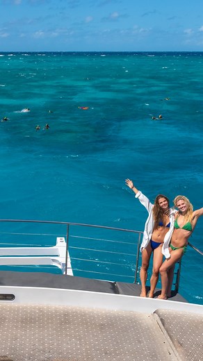 21 reactions | Cairns, a tropical paradise you can’t miss From lush rainforests and vibrant gardens to the gateway of the Great Barrier Reef, every corner of Cairns is pure magic Sun, adventure, and unforgettable views await. perfect for nature lovers, explorers, and anyone craving a getaway #CairnsTours #VisitCairns #TropicalNorthQueensland #CairnsBeauty #QueenslandAdventures #BucketListTravel | Cairns Tours | Facebook