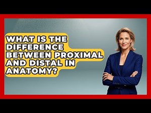 What Is the Difference Between Proximal and Distal in Anatomy? | All About Anatomy Answers News
