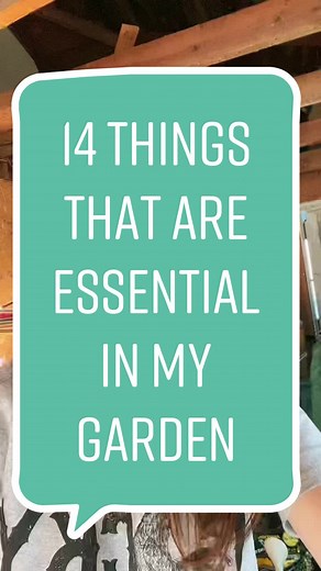 Essential Tips for Organic Gardening Success