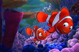 Sessão da Tarde: 'Procurando Nemo' é exibido nesta segunda-feira (24/1)