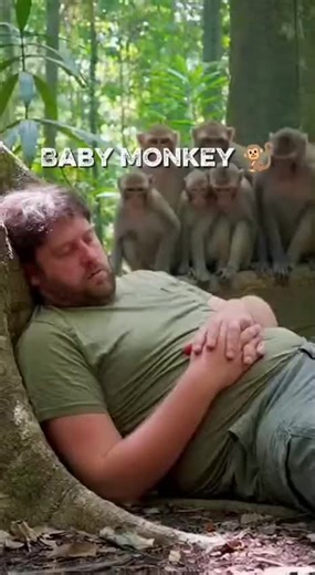 Hilarious Baby Monkey Prank Compilation