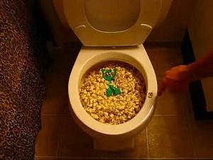 Maximum Popcorn Down The Toilet (AdamDiddy reupload)
