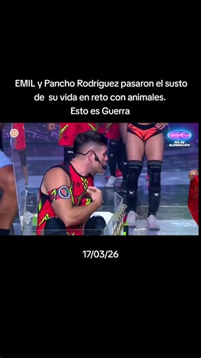 EMIL y Pancho Rodríguez pasaron el susto de su vida en reto con animales. 17/03/26 Esto es Guerra #EEG #estoesguerra #eegperu #guerreros #combatientes
