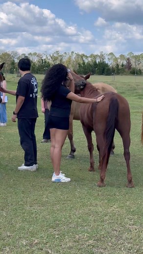 More about the visit from UGA…Last Friday was such a special day for us here at the Wild Mustang Ranch. The students came out to work on a project about what we do and about the BLM, and it filled our hearts with so much joy. To see their excitement as they learned our mission and met the Mustangs from wild to mild—was truly inspiring. 💛 Their smiles, curiosity, and positive energy reminded us once again why we do what we do.We’re so grateful for the opportunity to share these Mustang stories w