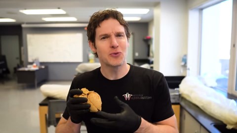 VO₂ max: The surprising key to longevity