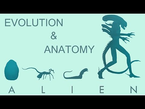 Эволюция и Анатомия Чужого | Alien