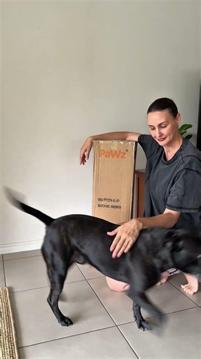 STOP letting your dog jump on the couch until you watch this!