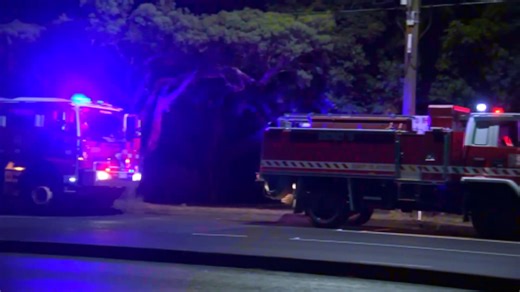 Heavy rainfall helps firefighters douse Melbourne bushfire