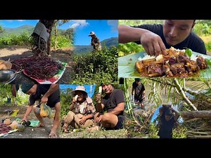 Harvesting organic vegetables and fruits // Naga farmers life // paddy field vlog.