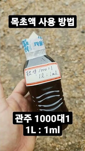 #목초액 #다육이 사용방법 꼭 희석배율을 지켜주세요 #경산다육