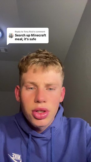 Minecraft Game Filter: Achieving a World Record