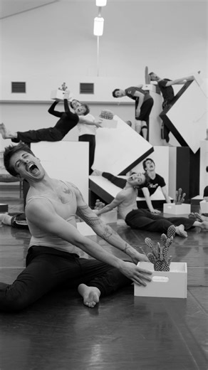 COMMON GROUND - Cacti by Alexander Ekman