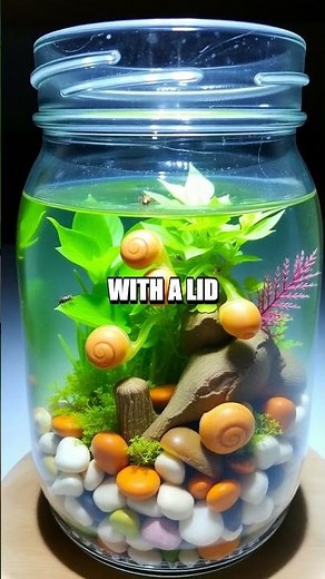 Creating Your Own Mini Ecosystem