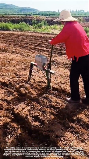 DIY Spring Seeder: Planting as You Walk, Perfect Spacing Every Time