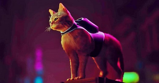 Stray Gets A Split-Screen Mod - Gameranx