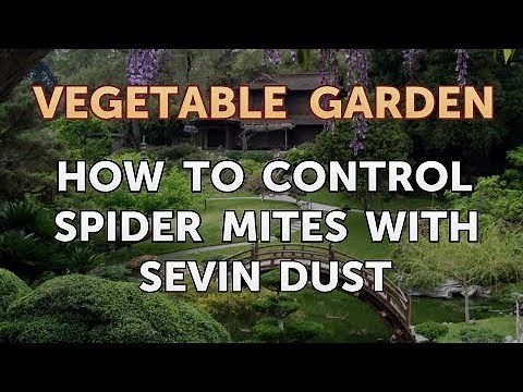 How to Control Spider Mites with Sevin Dust
