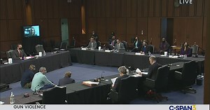 Senate Judiciary Committee Hearing on Gun Violence Prevention