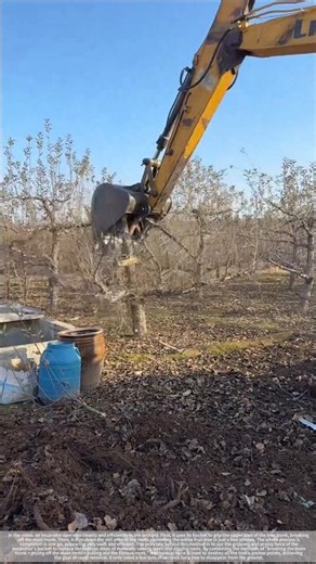 With a grab and a pry, the entire fruit tree was cleared away in an instant!