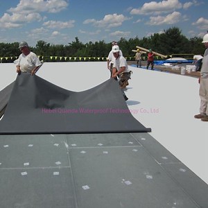 [Hot Item] Polyvinyl Chloride Plastic PVC Waterproofing Membrane Roofing Material