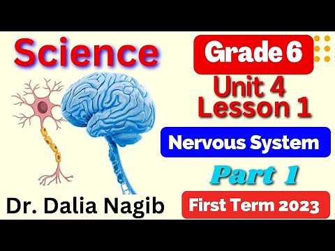 Nervous System Grade 6 Science Unit 4 Lesson 1| Part 1 Nervous System ساينس سادسة ابتدائى وشرح درس