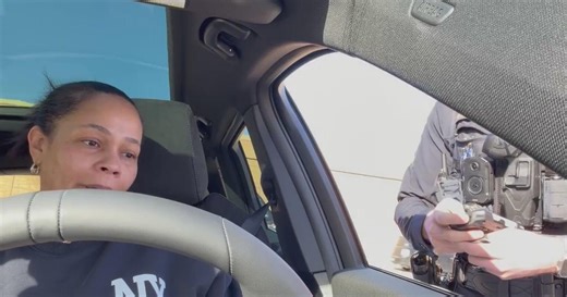 Viral Hurst traffic stop video raises new questions about force used by officers
