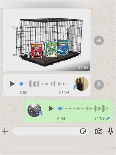 Exploring Pokémon Ruby/Sapphire/Emerald Versions