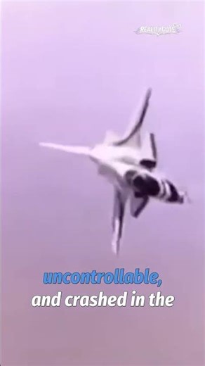 X-31 Crash: Ice in Pitot Tube Dooms $230M Jet