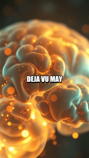 Beyond Neurons Five Fresh Brain Revelations