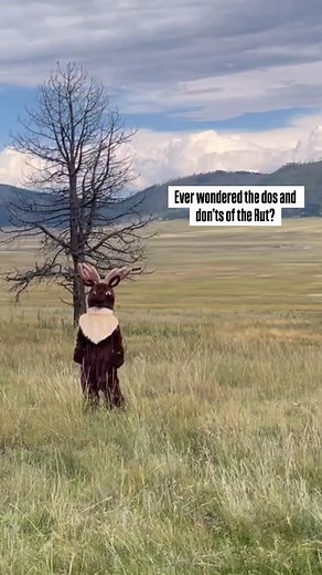 7.1K views · 4.5K reactions | With the upcoming rut, we want to make...