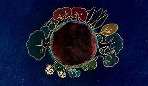 When algae met fungi – the hidden story of life’s most successful partnership | Aeon Videos