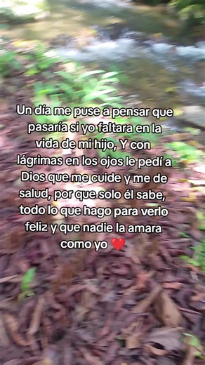 Videos de Maria (@dulce_creacion...1) con “sonido original - ⱽᵃˡᵉʳʸ ᴾᵃˡᵒᵐⁱⁿᵒ”