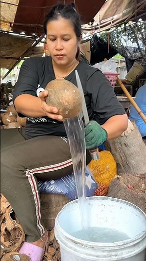 How to Extract Coconut Meat