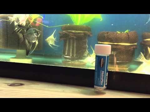 Review: MetroPlex(metronidazole)