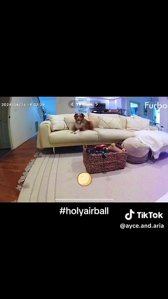 Definición de ser 'el mejor chico' con Ayce