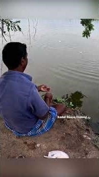 Mullet Fish Caught Using Water Bottle Trap | Smart River Fishing Method #fishing #fishingtechniques