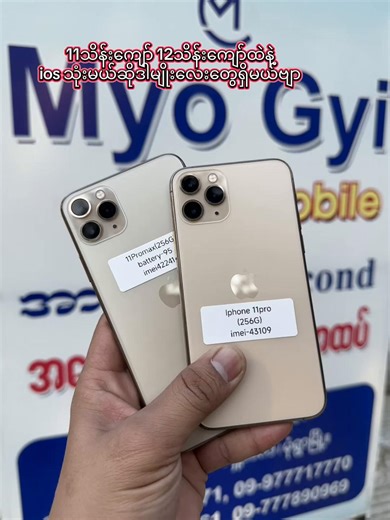 iPhone 11 Pro and Pro Max: Features and Comparisons