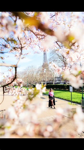 Best Spring Photo Spot in Paris: Eiffel Tower View