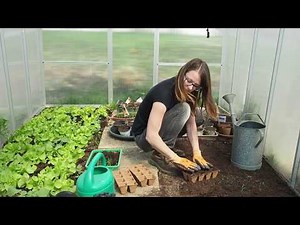 My moms vegetable garden in early spring