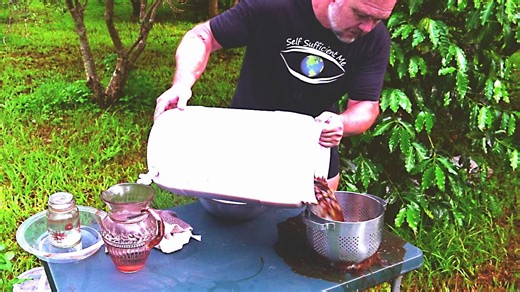 I preserved olives for 4 years! Ancient methods tested | Self Sufficient Me