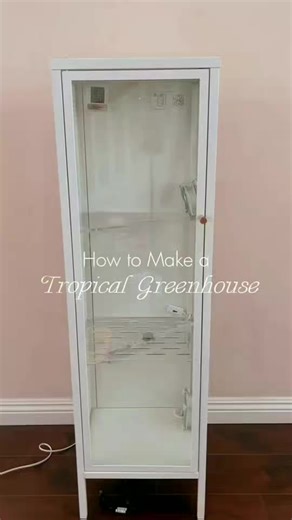 Botanical leaf zone.@A Anleolife #growyourownfood#diygardening#farminghacks#gadgets#Anleolifegarden#aliynfe#nvqzx#xtqax